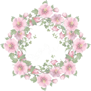 flower-circle-05